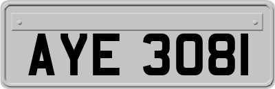 AYE3081