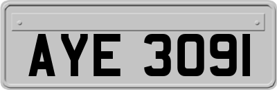 AYE3091