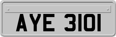 AYE3101