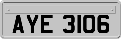 AYE3106