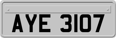 AYE3107