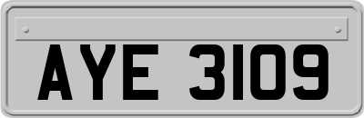 AYE3109