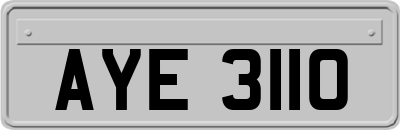 AYE3110