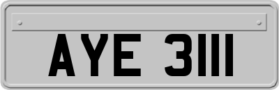 AYE3111