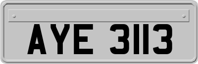 AYE3113