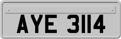 AYE3114