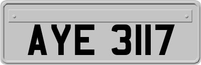 AYE3117