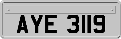 AYE3119
