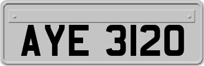 AYE3120