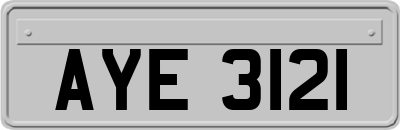 AYE3121