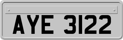AYE3122