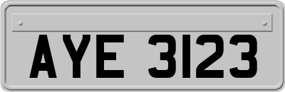 AYE3123