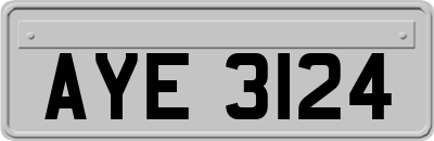 AYE3124