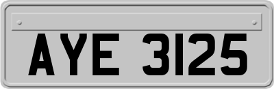 AYE3125
