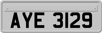 AYE3129