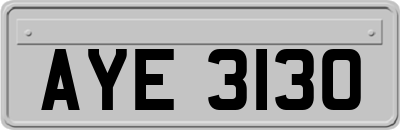 AYE3130