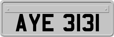 AYE3131