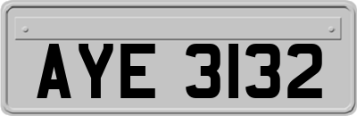AYE3132