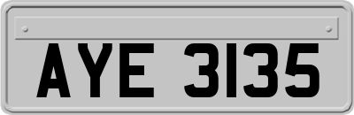 AYE3135