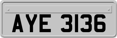 AYE3136