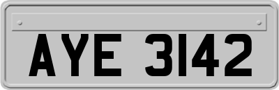AYE3142