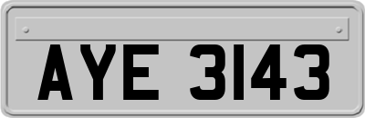AYE3143