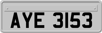 AYE3153