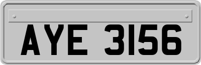 AYE3156