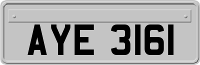 AYE3161