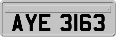 AYE3163