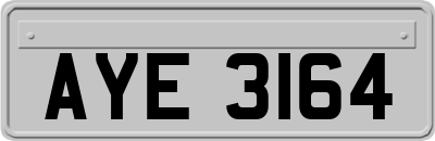 AYE3164