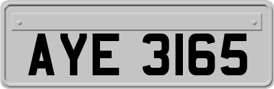 AYE3165