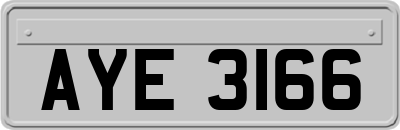 AYE3166