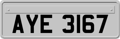AYE3167