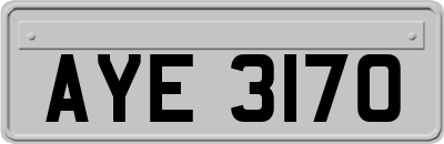AYE3170