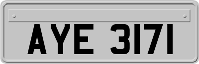 AYE3171