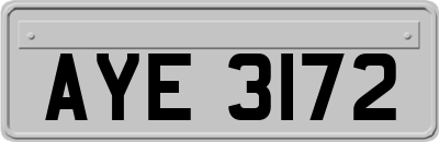 AYE3172