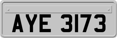 AYE3173