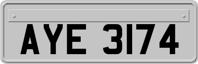 AYE3174