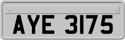 AYE3175
