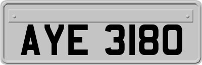 AYE3180