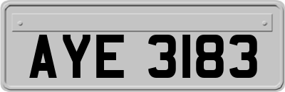 AYE3183