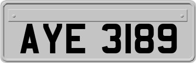AYE3189