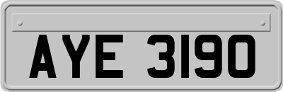 AYE3190