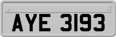 AYE3193