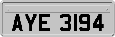 AYE3194