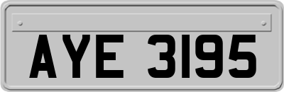 AYE3195