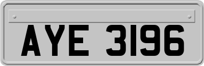AYE3196