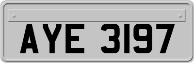 AYE3197