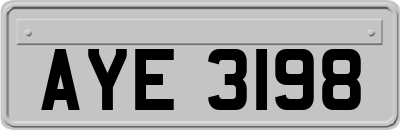 AYE3198